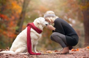 Cinco maneiras de dizer ao seu cão que você o ama