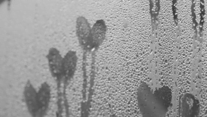 Não permita que seu amor evapore