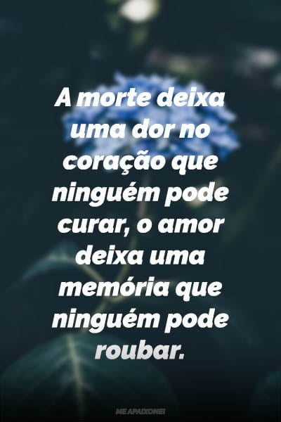 59 Frases De Saudade De Alguem Que Se Foi Me Apaixonei