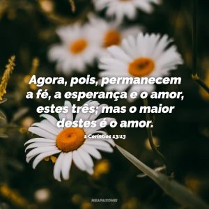29 Versículos de ESPERANÇA para renovar nossas forças em DEUS - Me ...