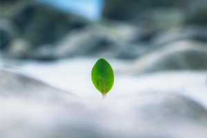 29 Versículos de ESPERANÇA para renovar nossas forças em DEUS