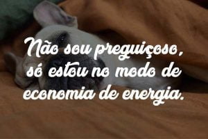 100 Frases para Foto no Instagram Incríveis
