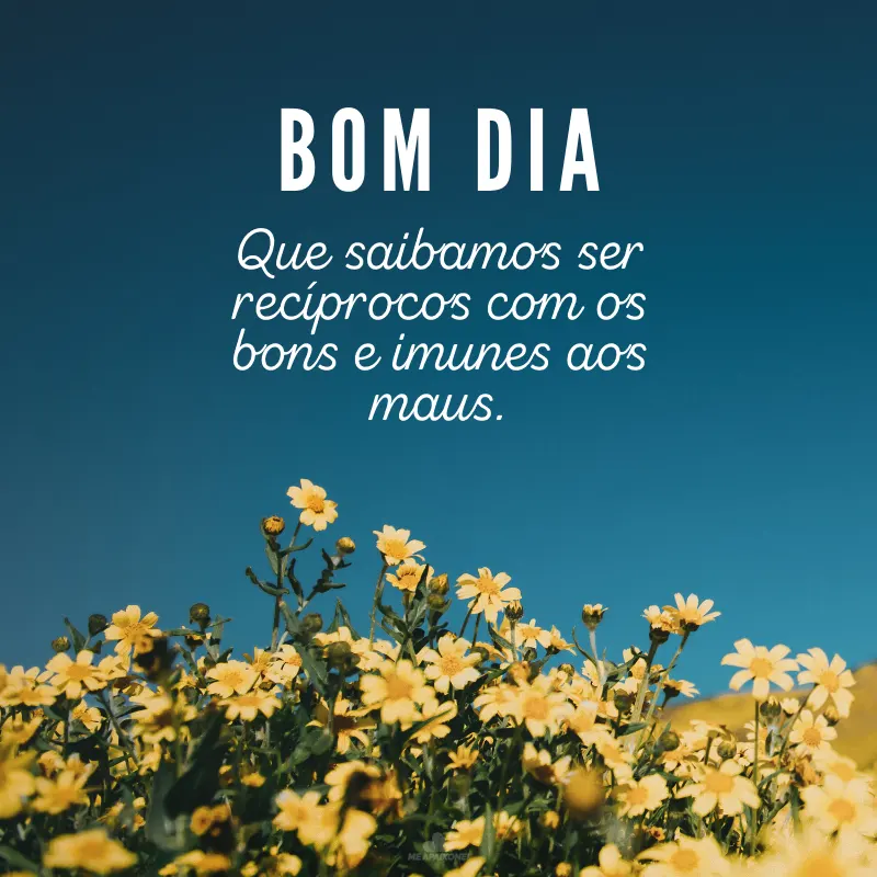 Arquivos Mensagens De Bom Dia - Me Apaixonei Arquivos Mensagens De Bom Dia - Me Apaixonei