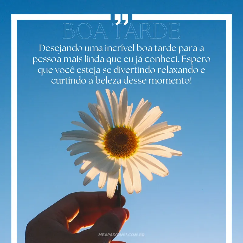 Mensagens de boa tarde para Whatsapp