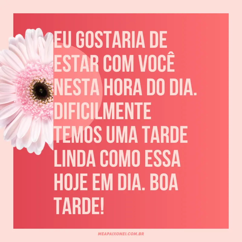 Mensagens de boa tarde