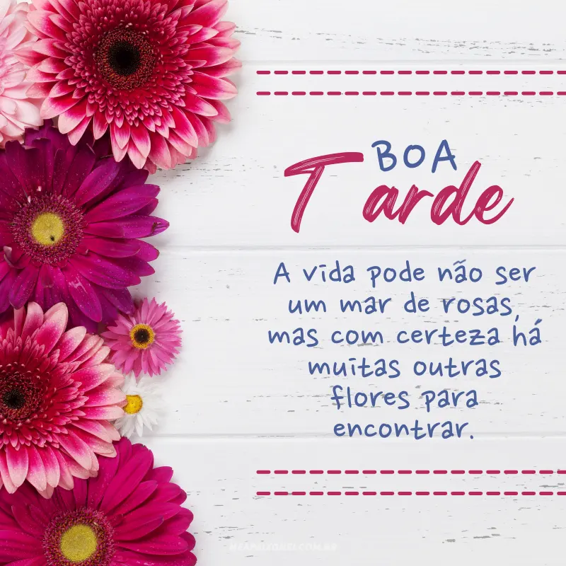 Mensagens de boa tarde para Whatsapp