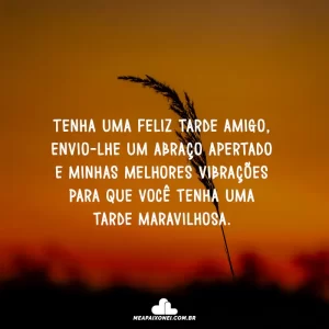 Bom Final de Tarde com Carinho: 45 Frases para Compartilhar