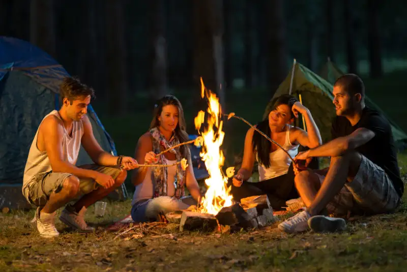 4 amigos conversando e assando marshmallow ao redor da fogueira e fazendo perguntas para amigos