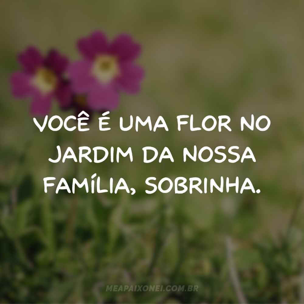 Frases de afeto