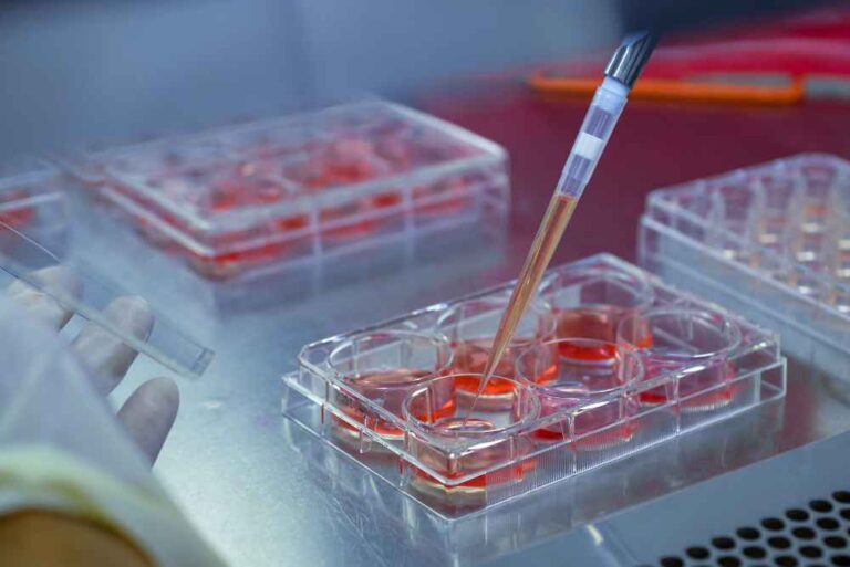 Como é Feito o Exame Toxicológico: Processo - Me Apaixonei