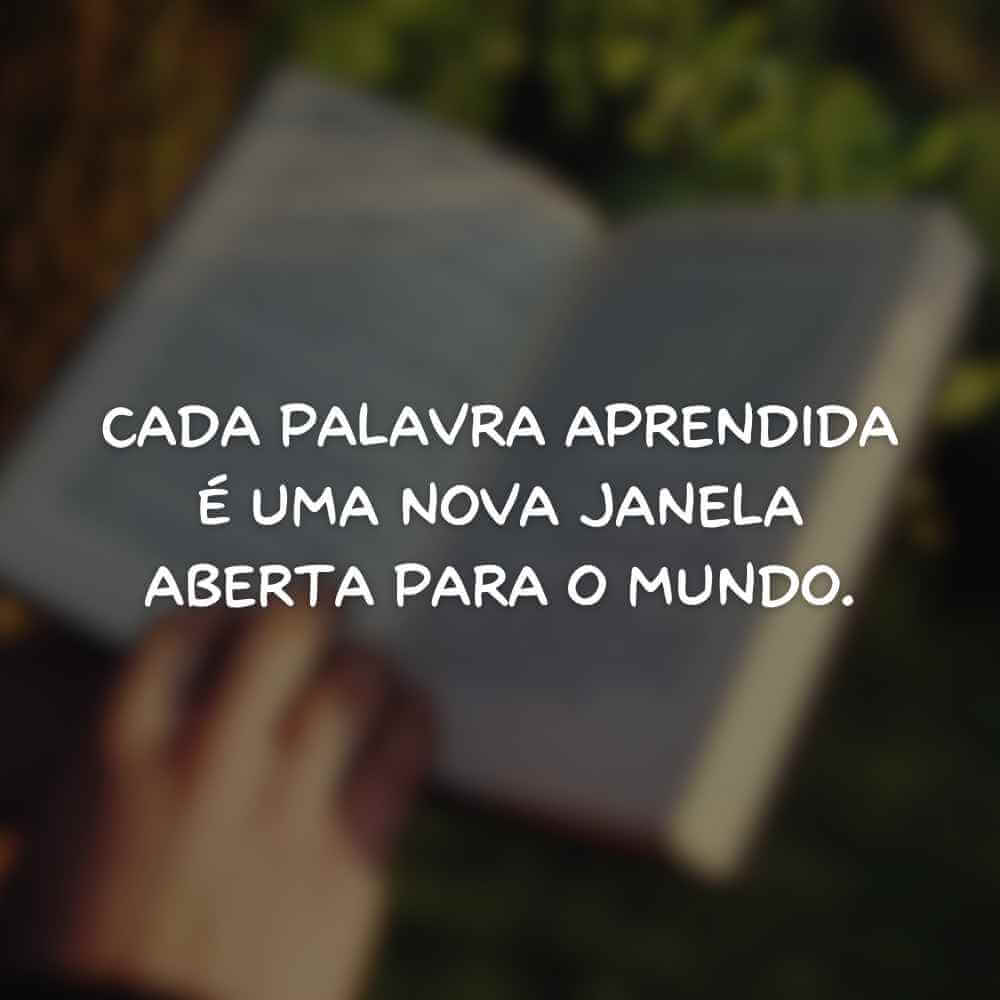 frases sobre educação