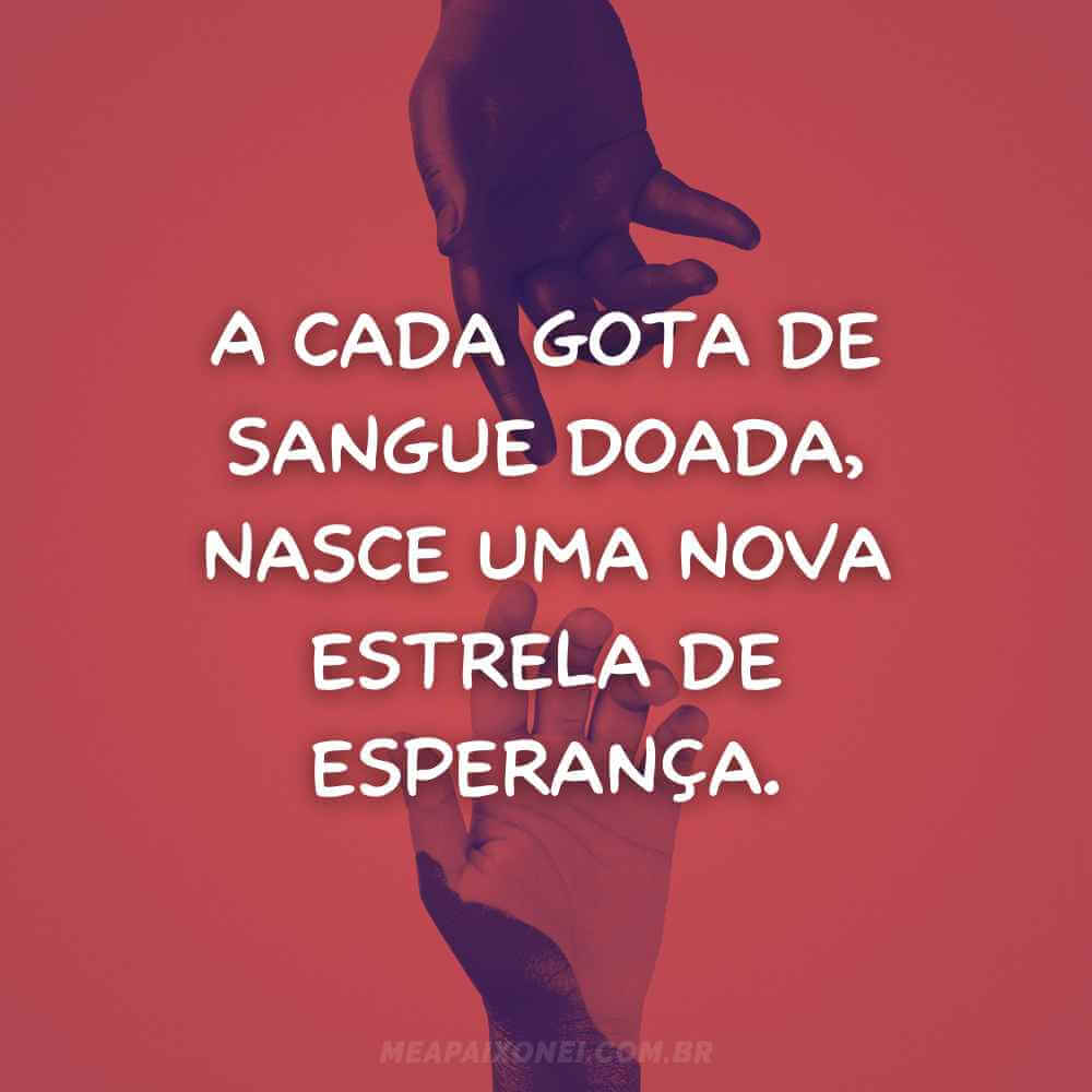 Frases sobre doar sangue