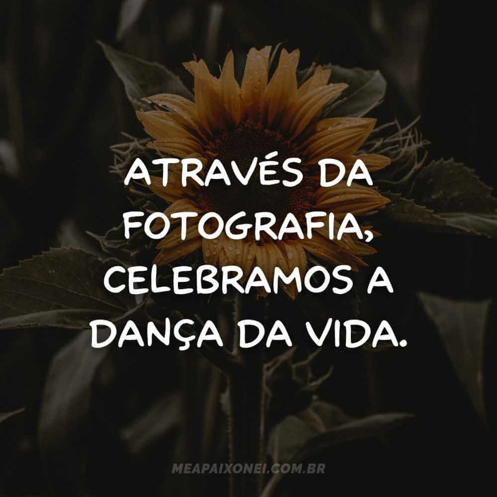 Frases do Dia Mundial da Fotografia