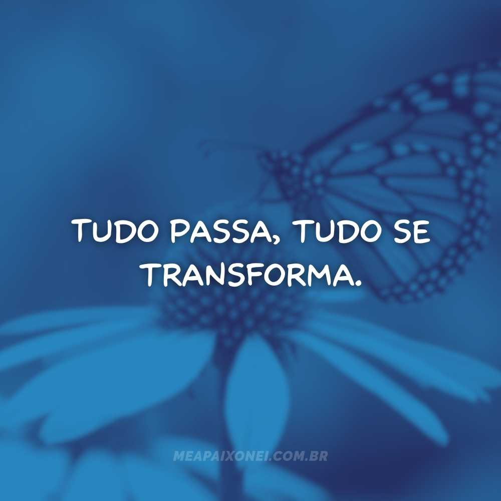 Frases curtas de reflexão