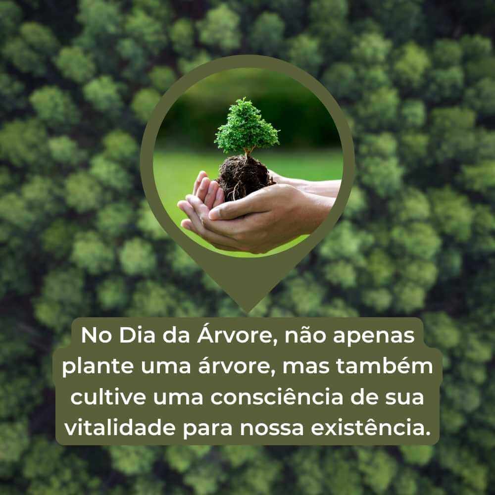 Frases do Dia da Árvore
