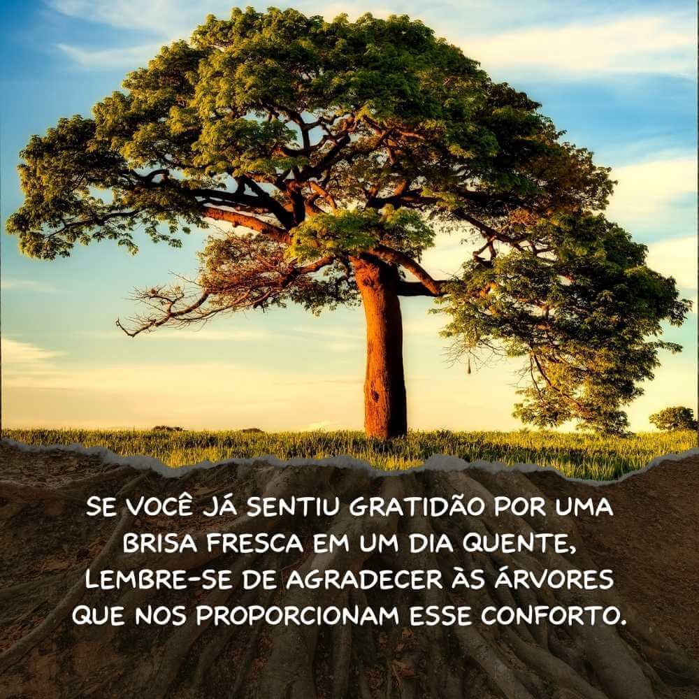 Frases do Dia da Árvore