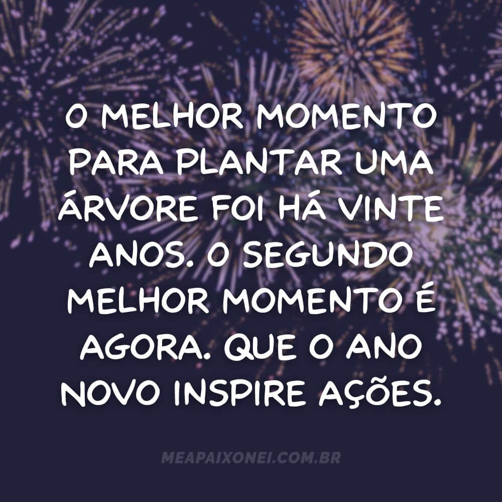 O melhor momento para plantar uma árvore foi há vinte anos. O segundo melhor momento é agora. Que o Ano Novo inspire ações.