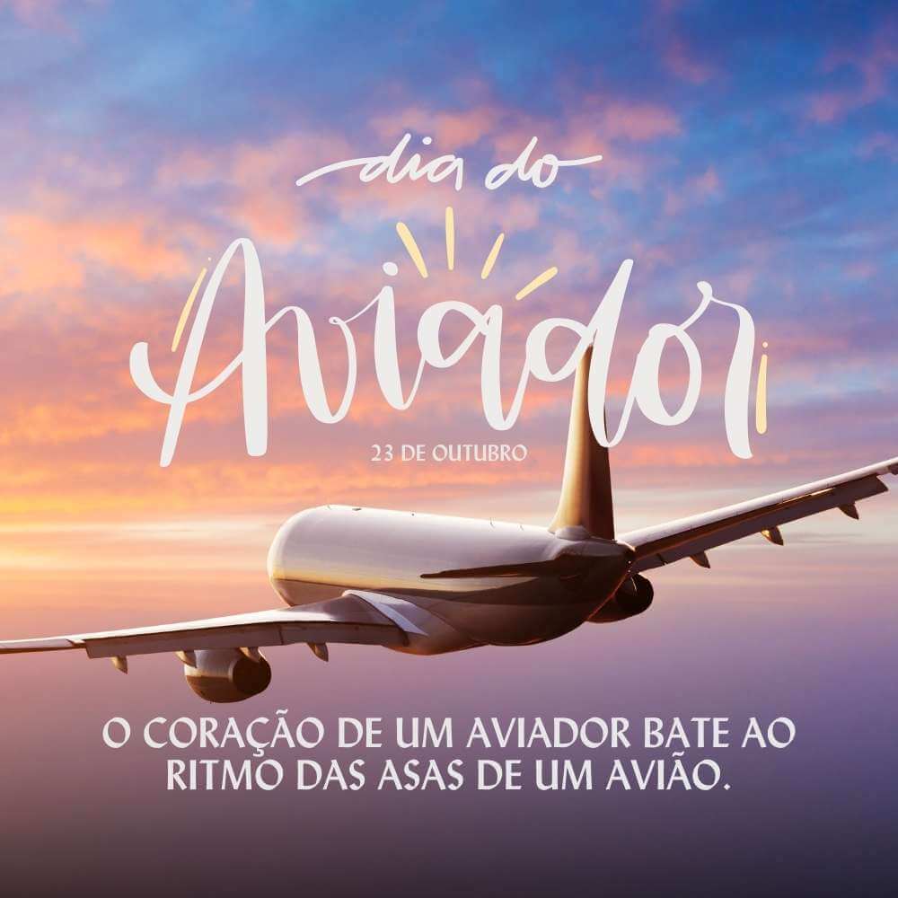 Frases do Dia do Aviador