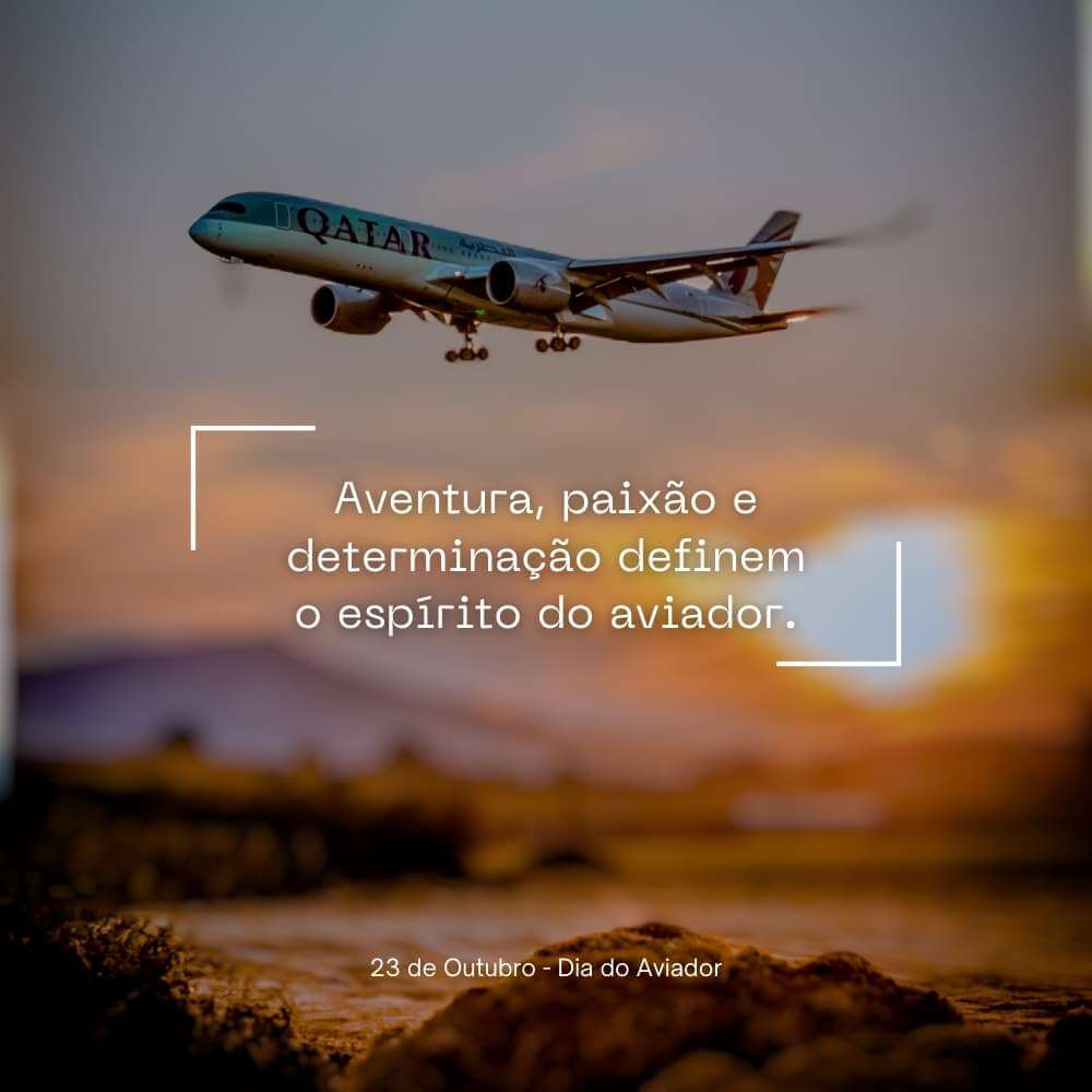 Frases do Dia do Aviador