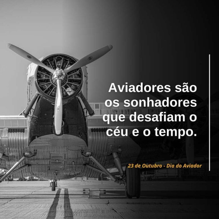 O Brilho dos Céus: 50 Frases do Dia do Aviador para Celebrar - Me Apaixonei