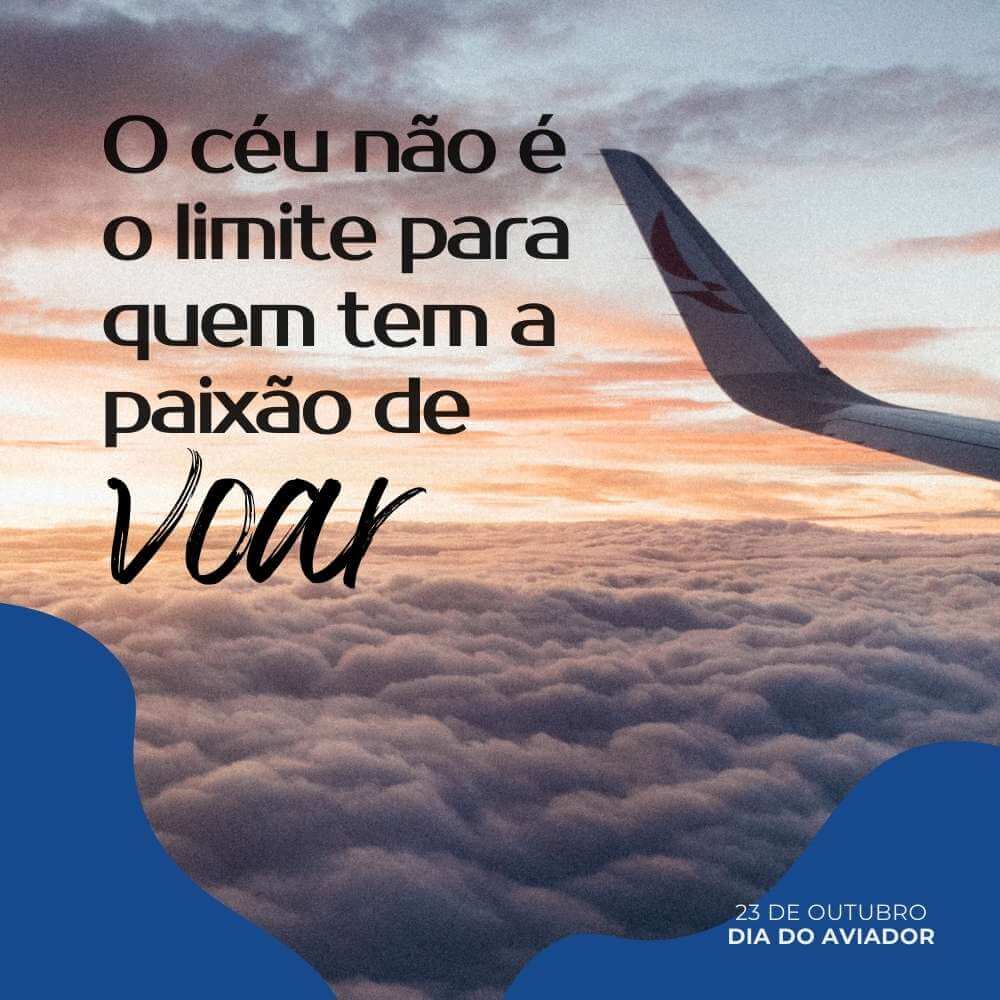 Frases do Dia do Aviador