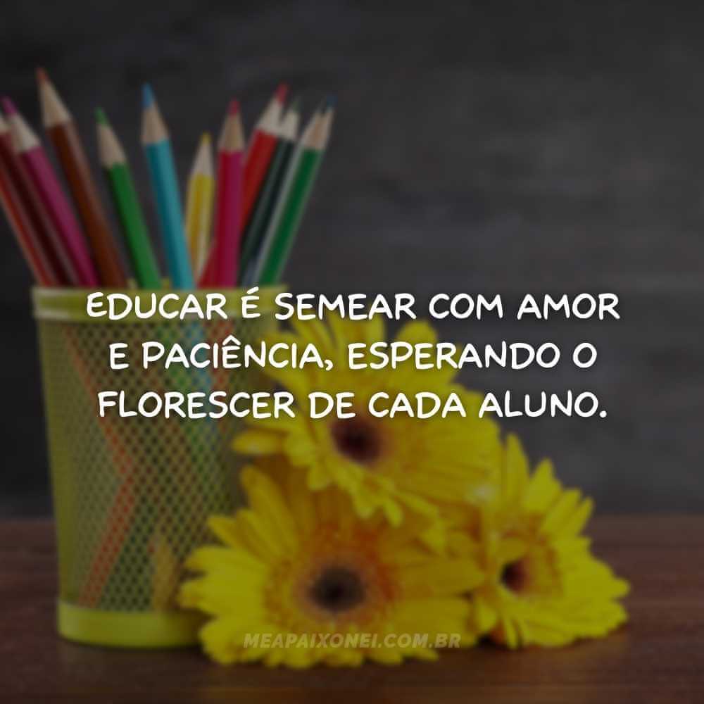 Frases para o dia dos professores