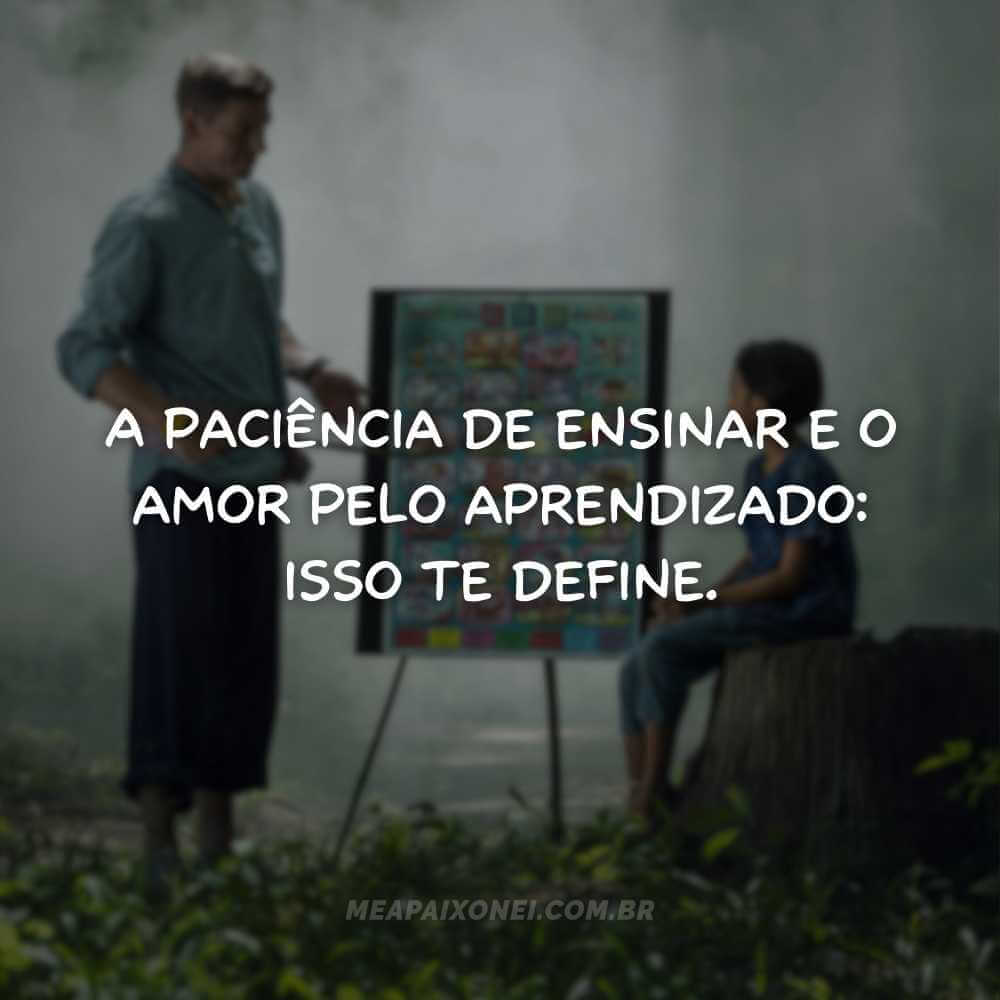 Frases para o dia dos professores