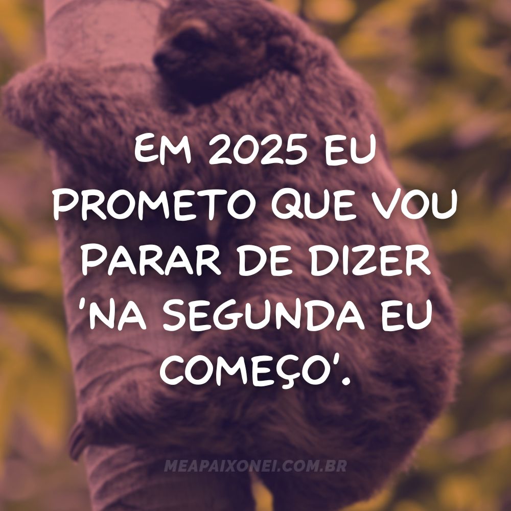 Em 2025 eu prometo que vou parar de dizer 'na segunda eu começo' - frases engraçadas de ano novo