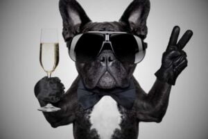 Cachorro segurando uma taça de champagne e fazendo v de vitória com a outra mão