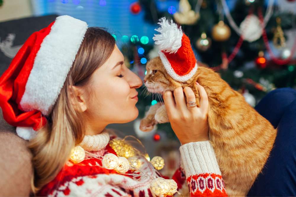 Mulher com chapéu de Natal comemorando o Natal sozinha com seu gato