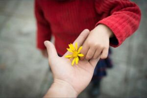 Menino de blusa vermelha colocando uma flor amarela na mão de uma pessoa