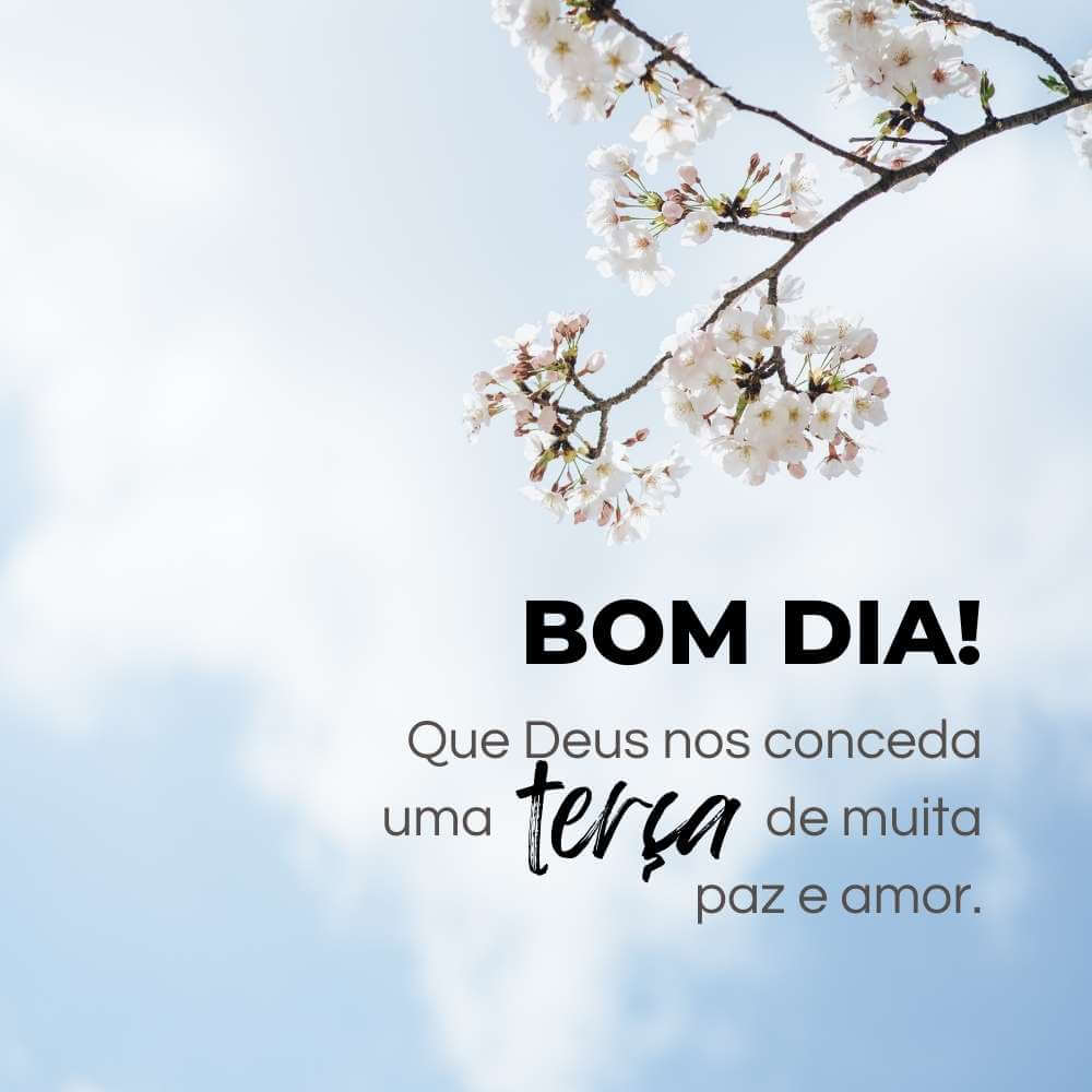 Bom Dia Terça Feira Abençoado - Bom dia Que Deus nos conceda uma terça feira de muita paz e amor.