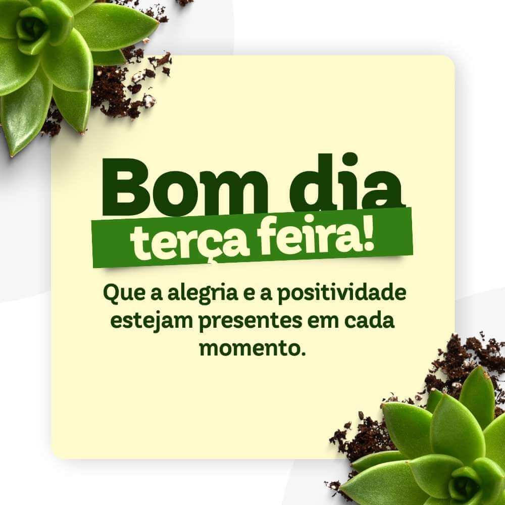 Mensagens de bom dia terça feira - Que a alegria e a positividade estejam presentes em cada momento.