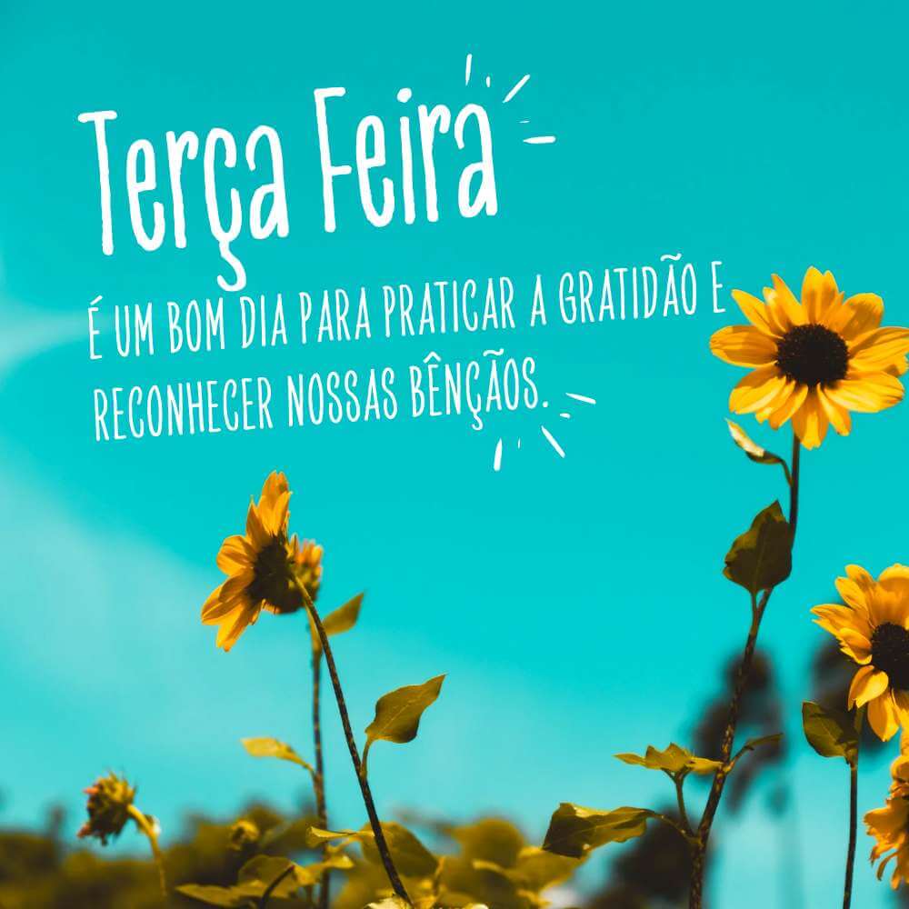 Reflexão Bom Dia Terça Feira - Terça-feira é um bom dia para praticar a gratidão e reconhecer nossas bênçãos.