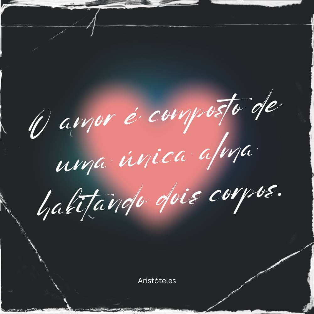 O amor é composto de uma única alma habitando dois corpos. – Aristóteles
