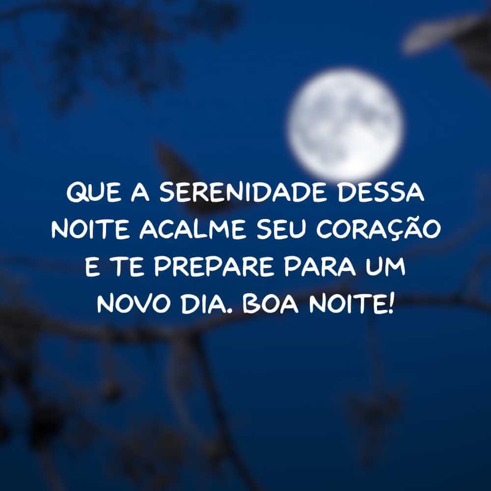 Que a serenidade dessa noite acalme seu coração e te prepare para um novo dia. Boa noite