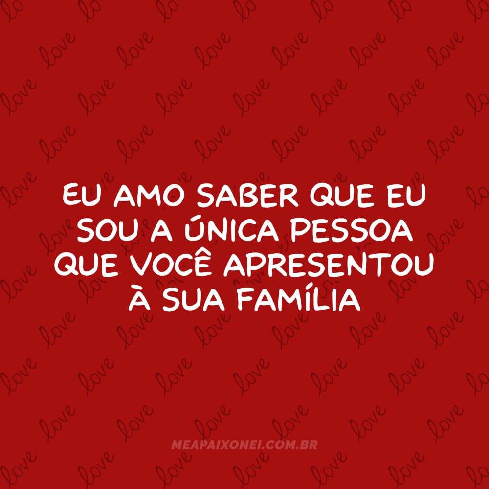 Eu amo saber que eu sou a única pessoa que você apresentou à sua família