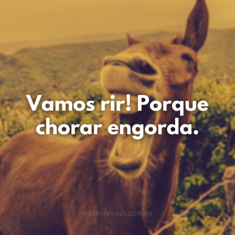 80 Frases Engraçadas para Foto. Torne Cada Momento ilário - Me Apaixonei