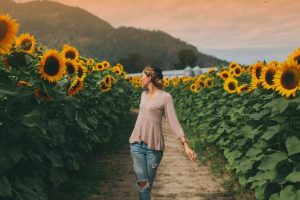 Frases de boa tarde com alegria: Mulher andando em um campo de girassóis